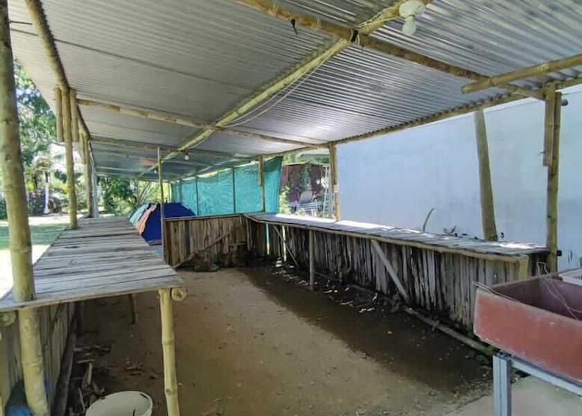 Puntarenas Province Puerto Jiménez Living area