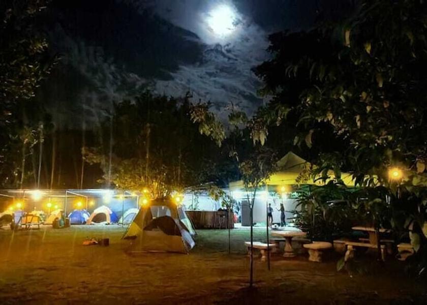 Puntarenas Province Puerto Jiménez Terrace/patio