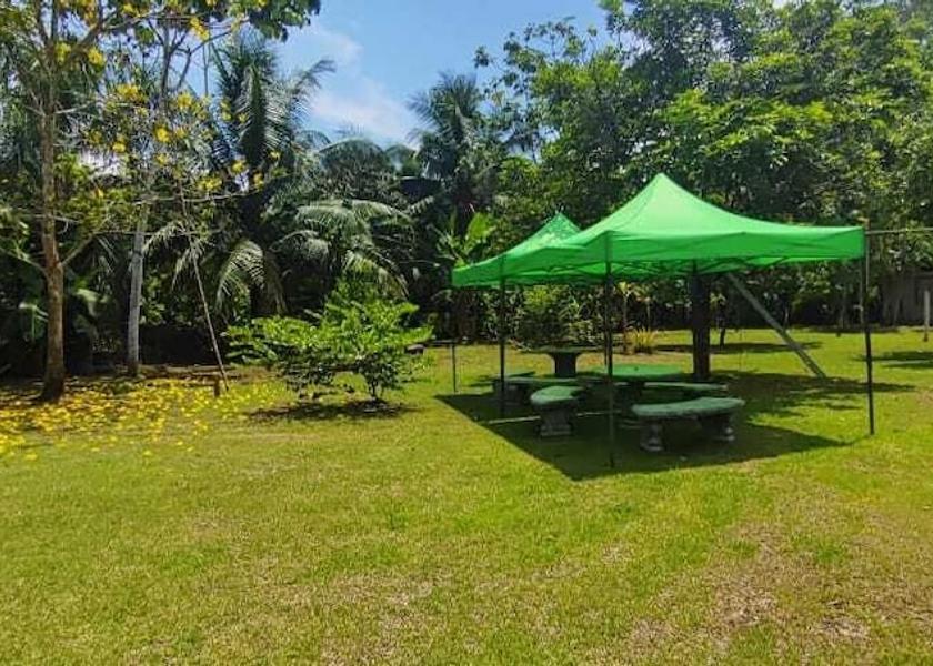 Puntarenas Province Puerto Jiménez Living area