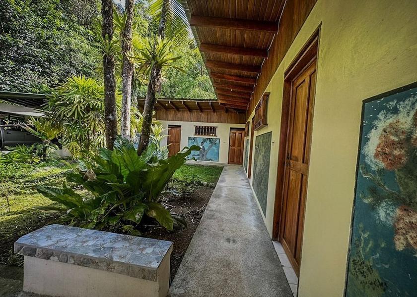 Puntarenas Province Puerto Jiménez Courtyard