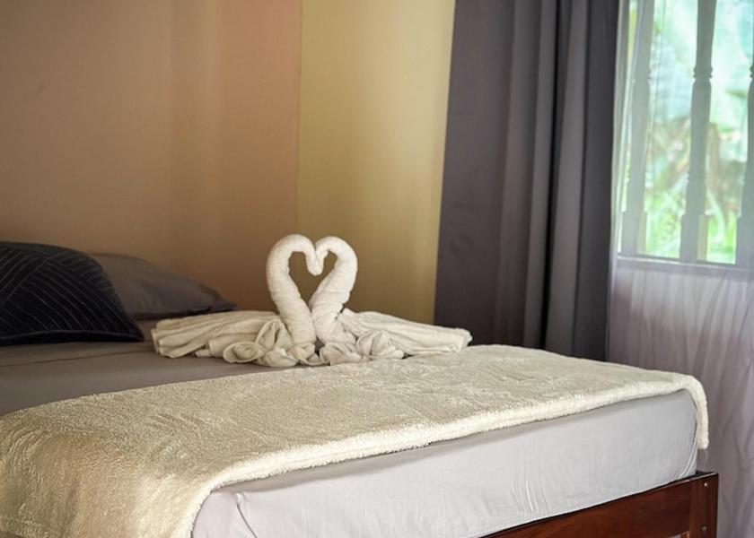 Puntarenas Province Puerto Jiménez Room