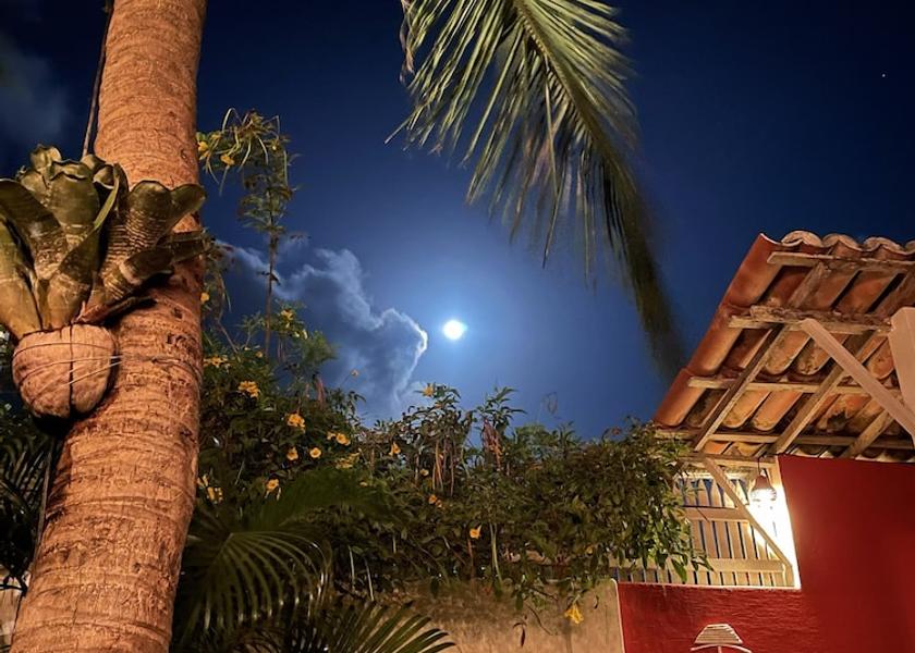 Ceará Jijoca de Jericoacoara Garden