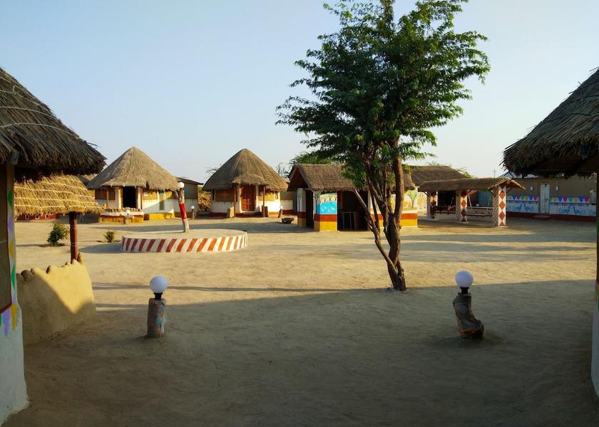 Gujarat Hodka Primary image