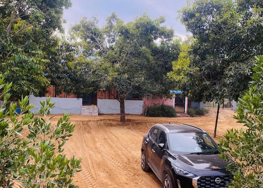Rajasthan Pushkar Garden view