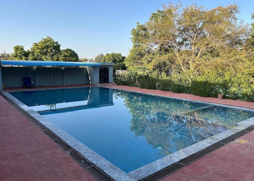 Rajasthan Pushkar Pool