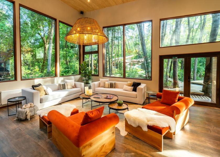 Araucanía Region Pucón Living area