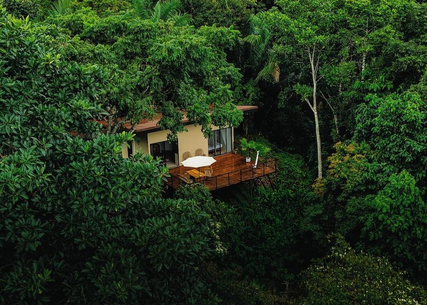 Puntarenas Province Puerto Jiménez Room