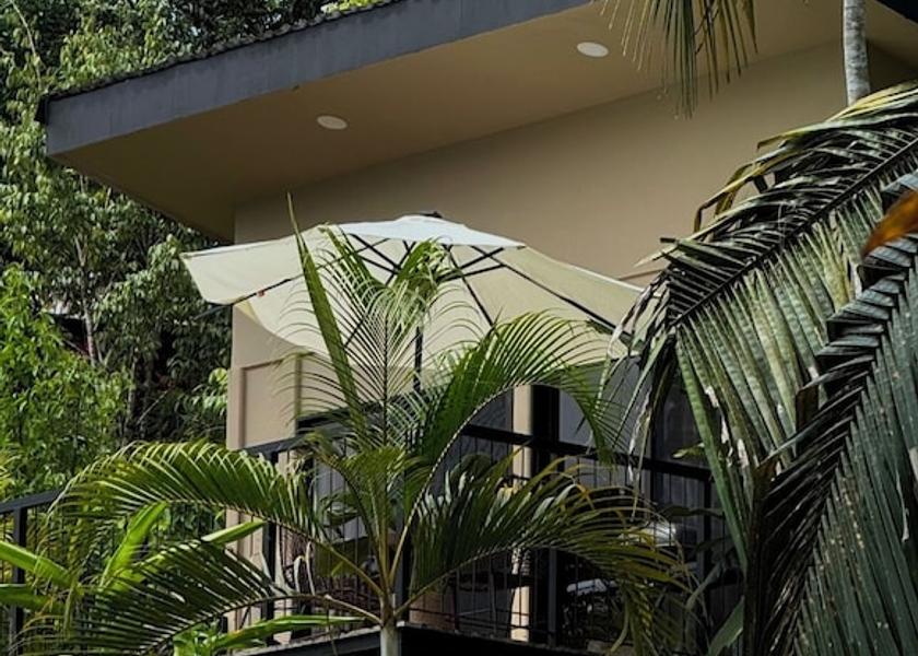 Puntarenas Province Puerto Jiménez Room