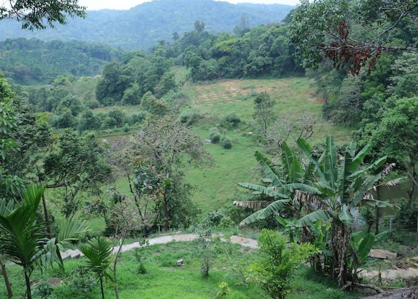 Karnataka Sakleshpur Garden
