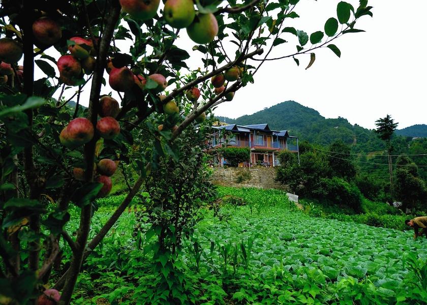 Uttarakhand Mukteshwar Front of property