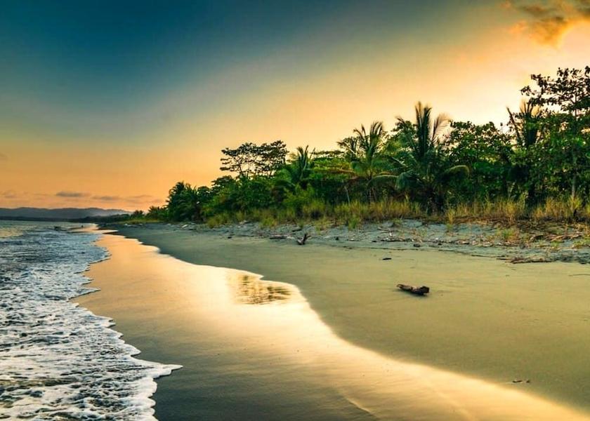 Puntarenas Province Puerto Jiménez Beach