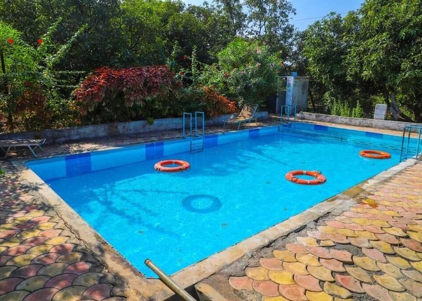 Gujarat Sasan Gir Pool