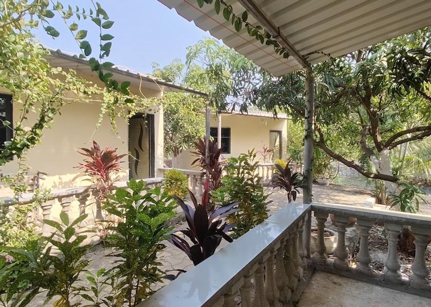Gujarat Sasan Gir Primary image