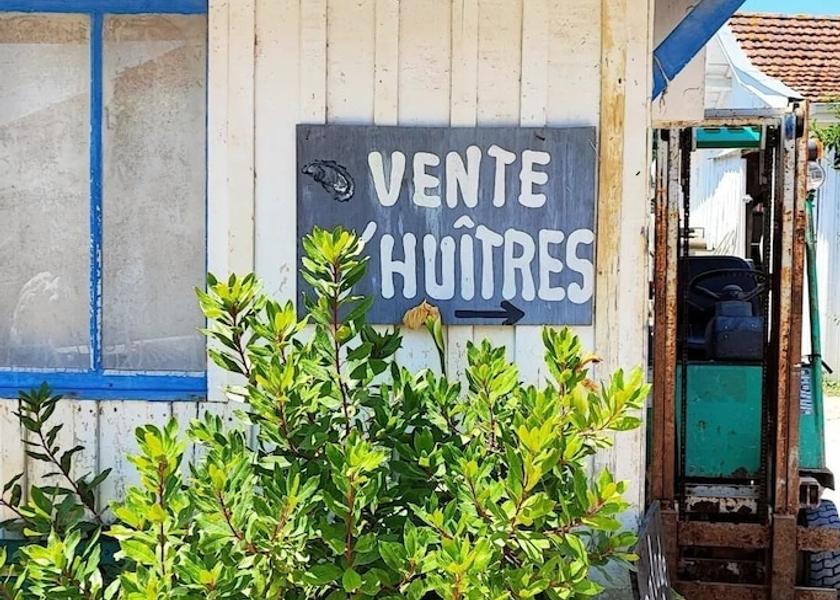 Nouvelle-Aquitaine Lège-Cap-Ferret Miscellaneous