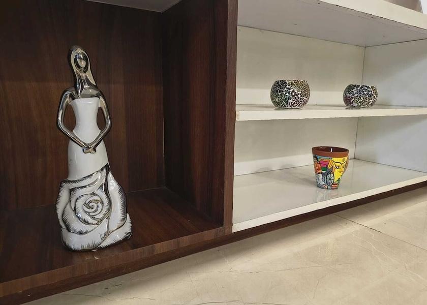 Haryana Panchkula Living room
