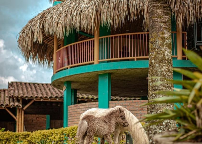 Quindío Calarcá Exterior