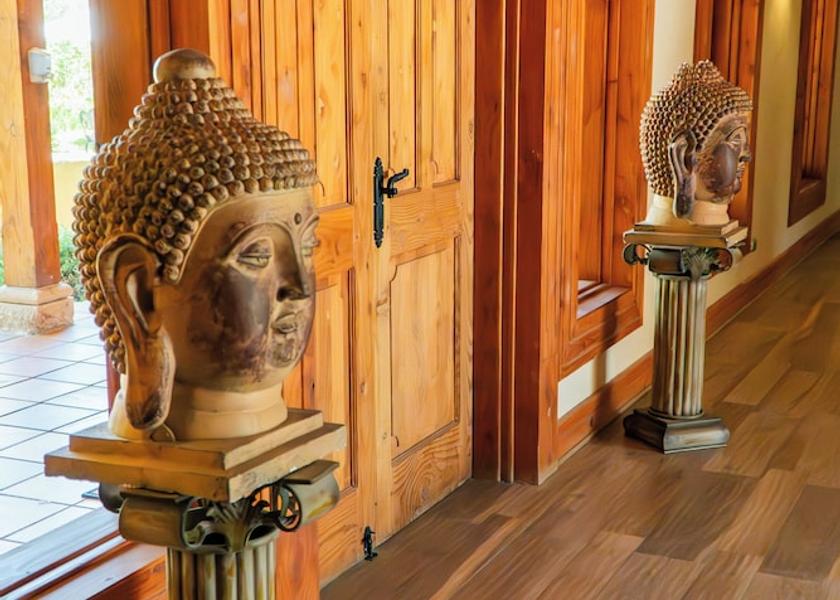 Coquimbo Region Vicuña Front of property