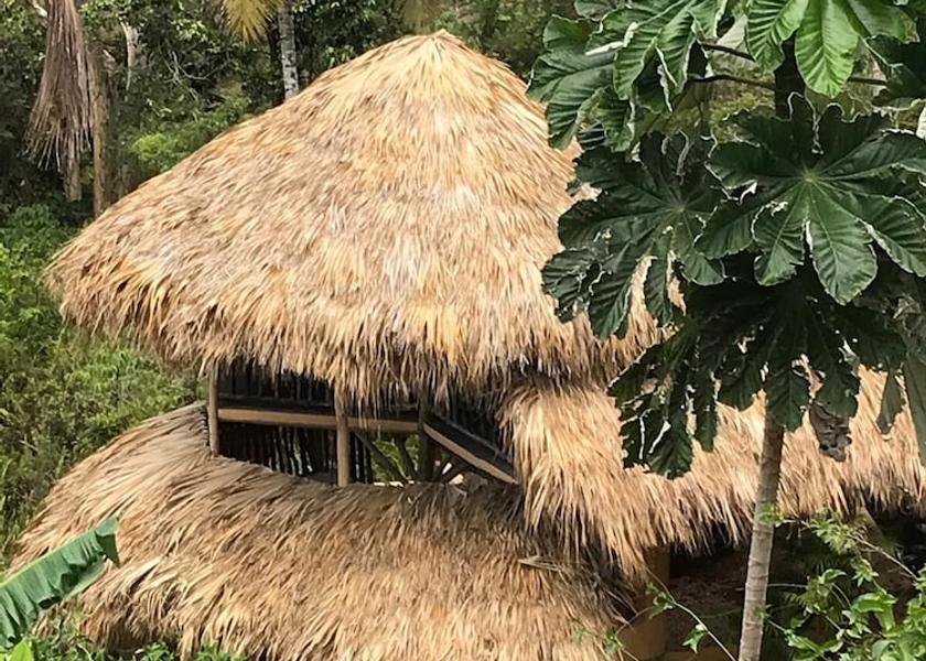 Samaná Samaná Room