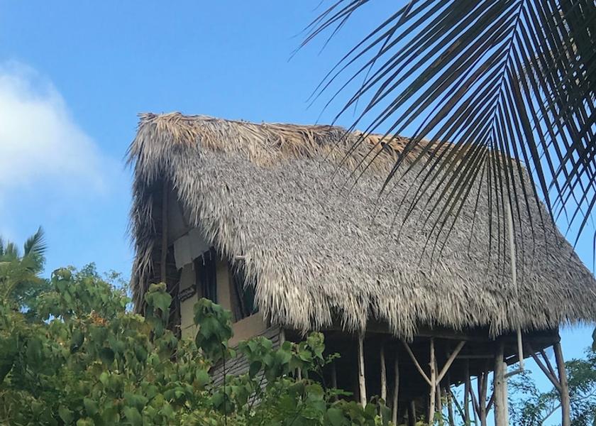 Samaná Samaná Room