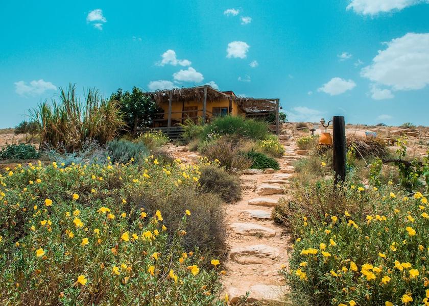 Southern Ramat Negev Room