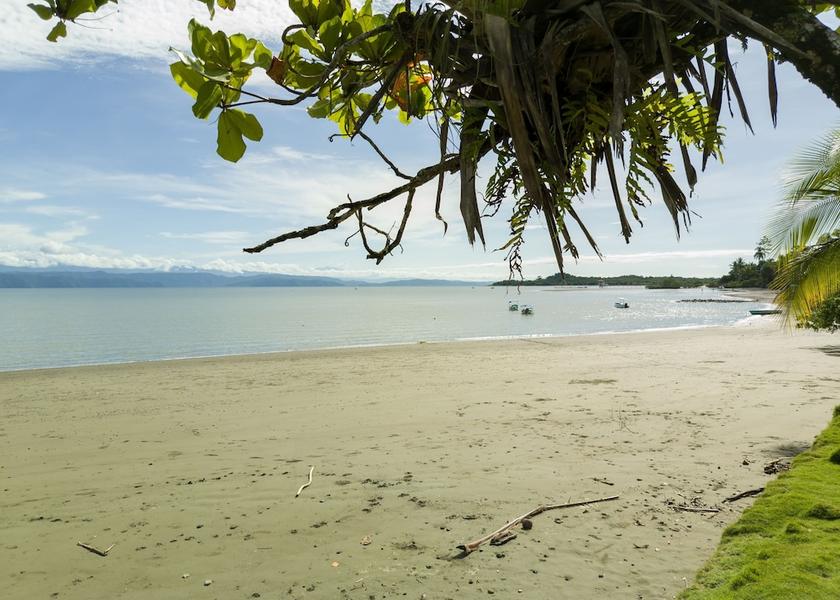 Puntarenas Province Puerto Jiménez Beach