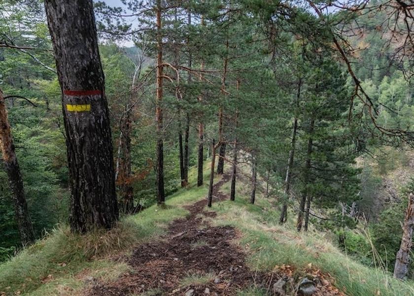 Central Serbia Divcibare Property amenity