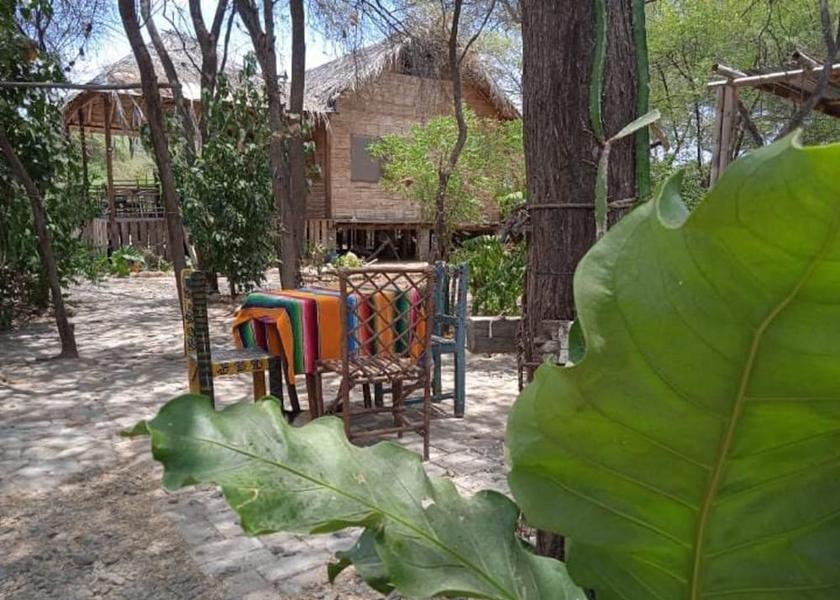 Piura Region Máncora Terrace/patio