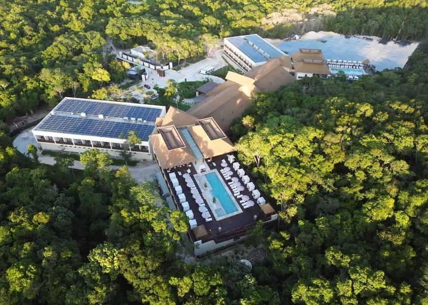 Campeche Calakmul Aerial view