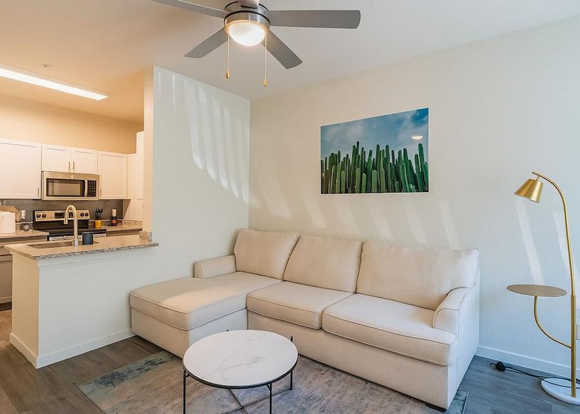 Arizona Tempe Living room