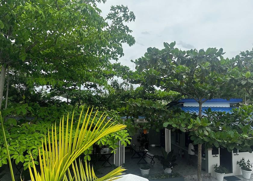 Central Visayas Moalboal Terrace/patio