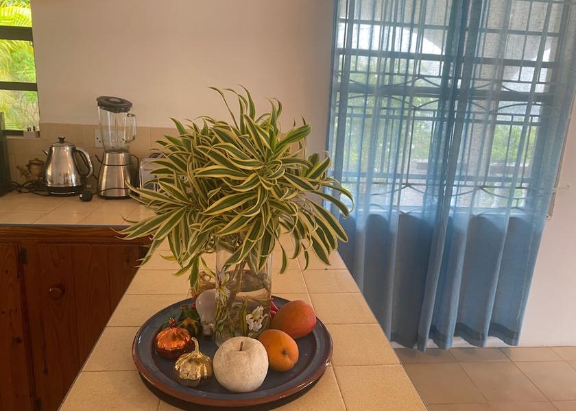 Grenadines Bequia Island Interior