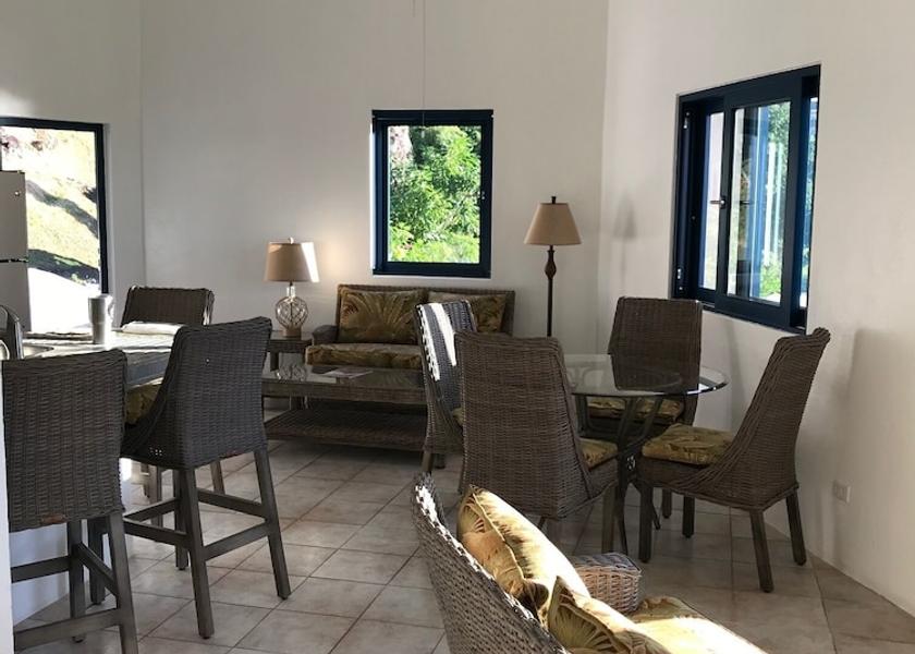 Tortola Cane Garden Bay Living area
