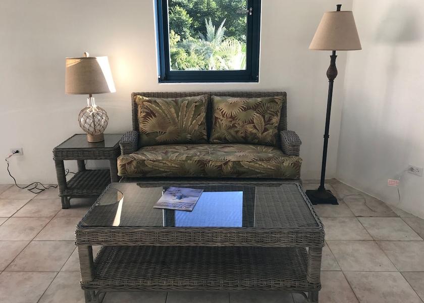 Tortola Cane Garden Bay Living area