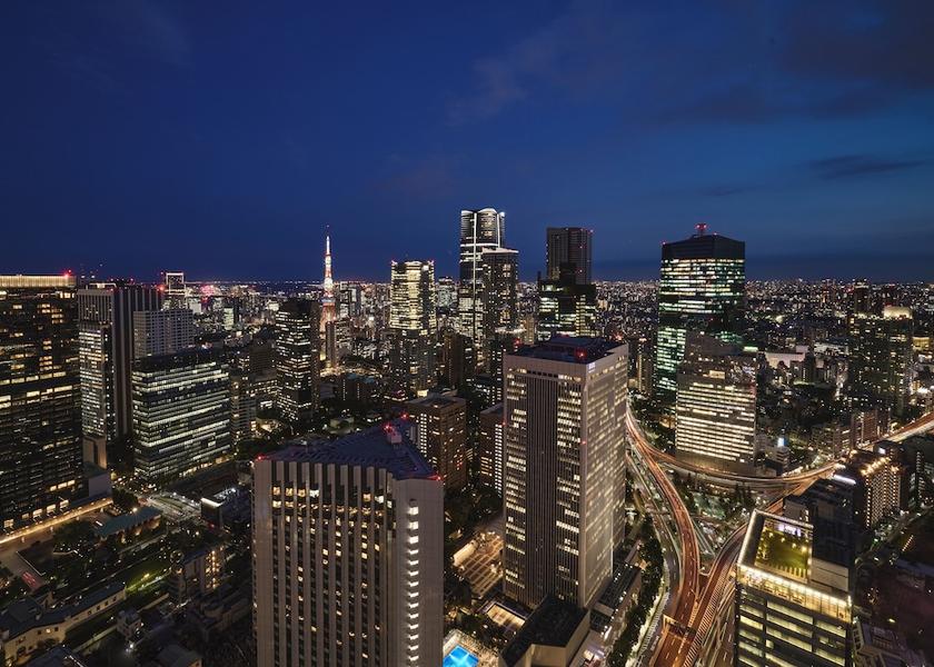 Tokyo Tokyo City view