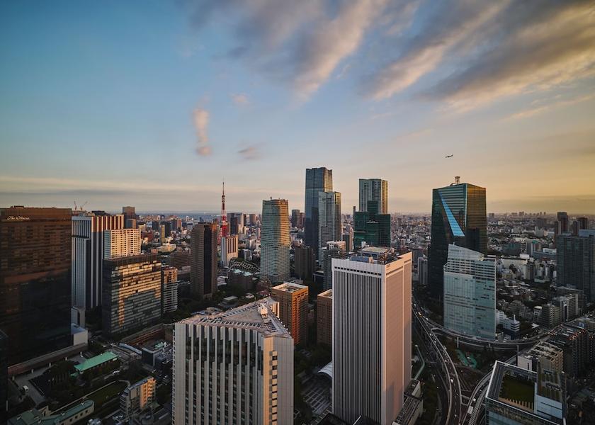 Tokyo Tokyo City view