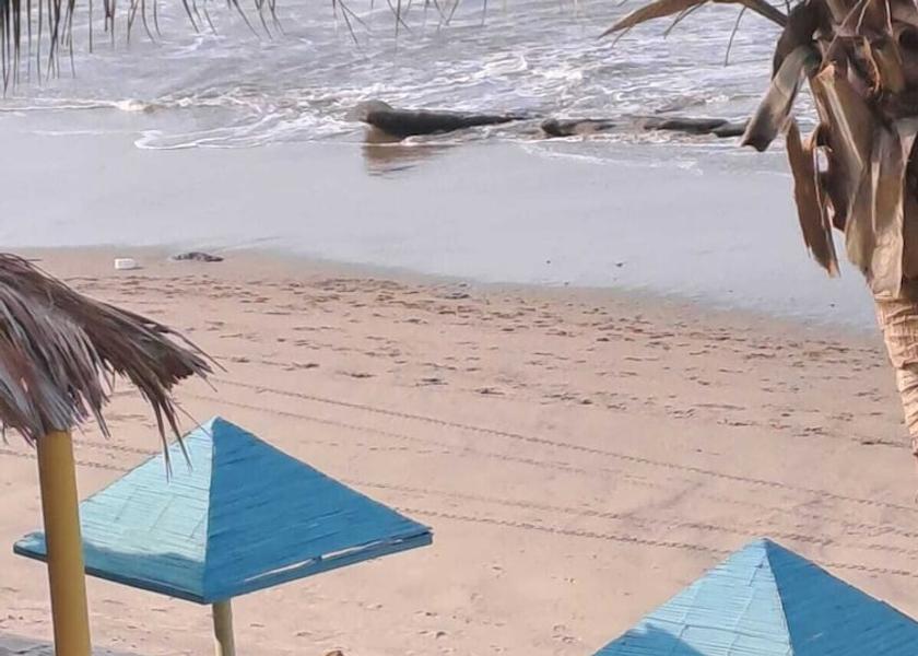 Piura Region Máncora Exterior