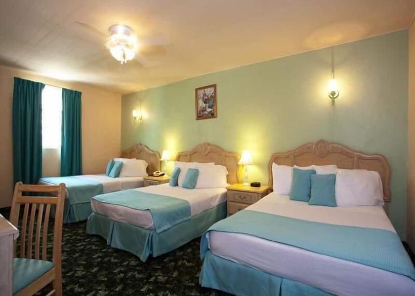 Tortola Road Town Room