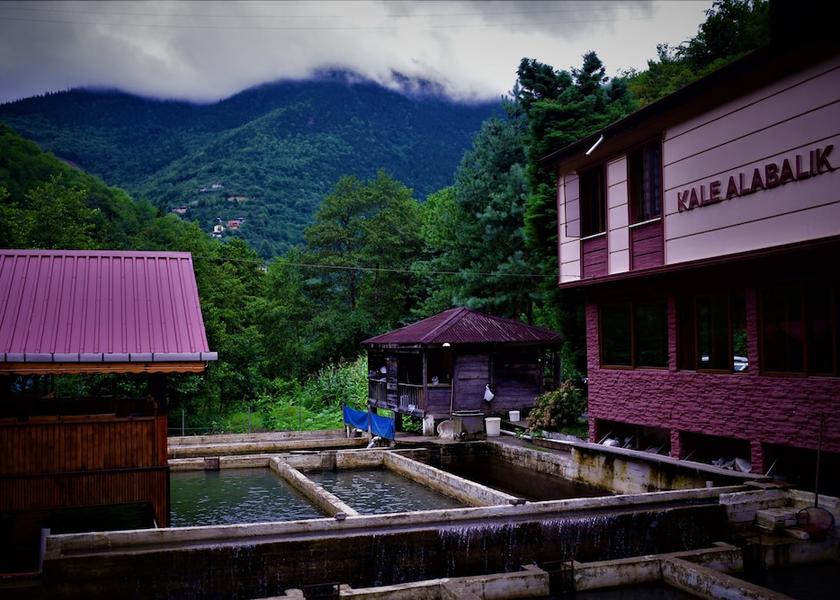 Trabzon Çaykara Food and drink