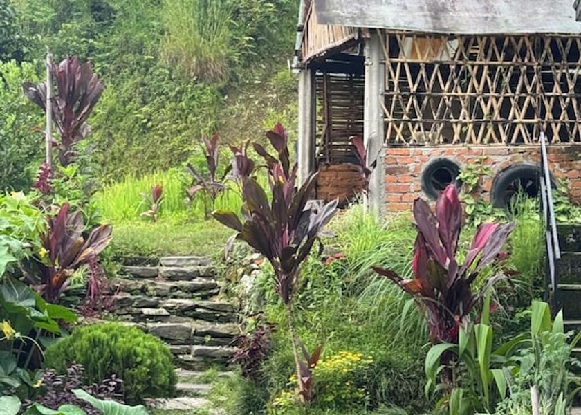 Gandaki Pokhara Exterior