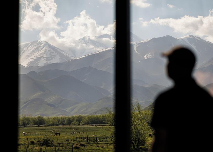 Mendoza Province Tupungato View from room