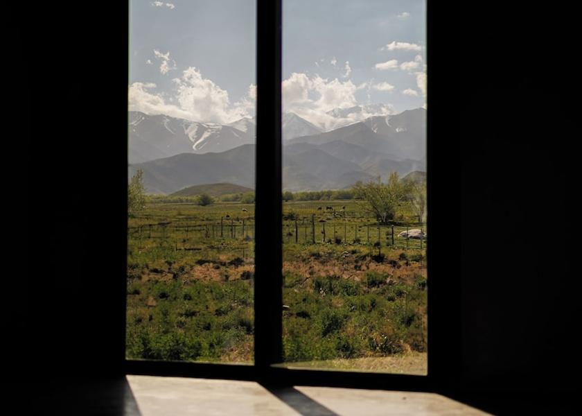 Mendoza Province Tupungato Interior