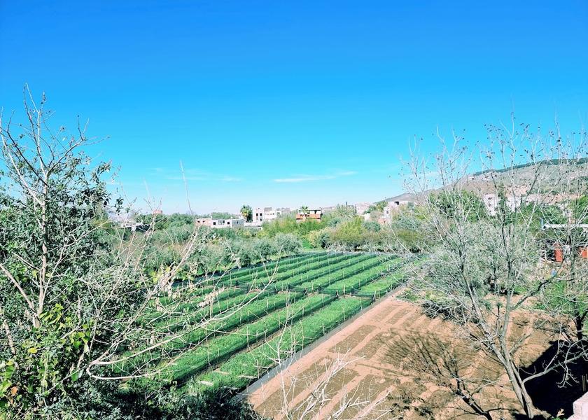 Marrakech-Safi Ourika Land view from property