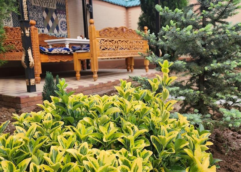  Dushanbe Rooftop terrace