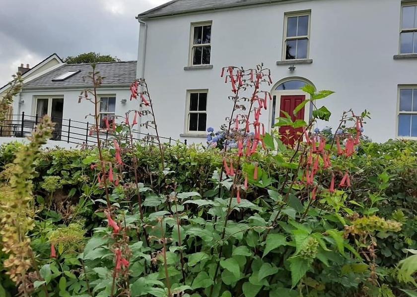 County Wicklow Hollywood Garden