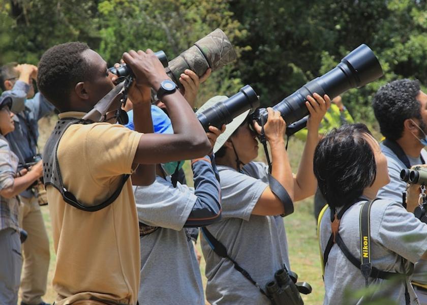 Northern Province Ruhengeri Game viewing
