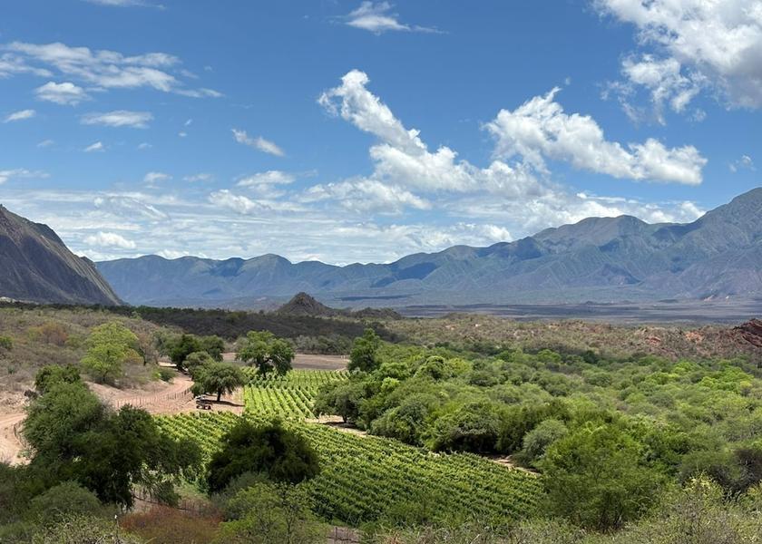 Salta Province Salta Mountain view