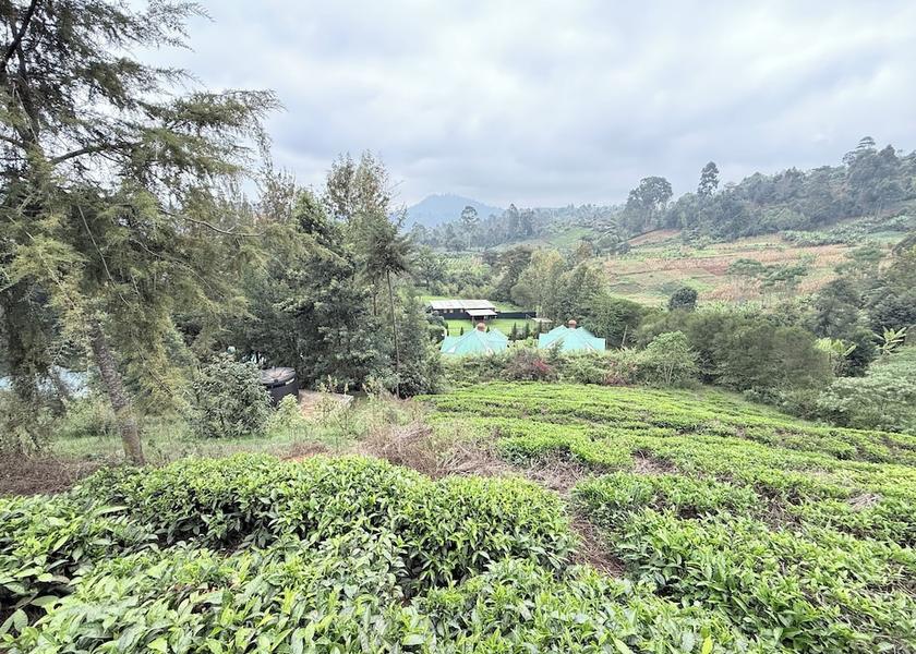 Outdoor rock climbing