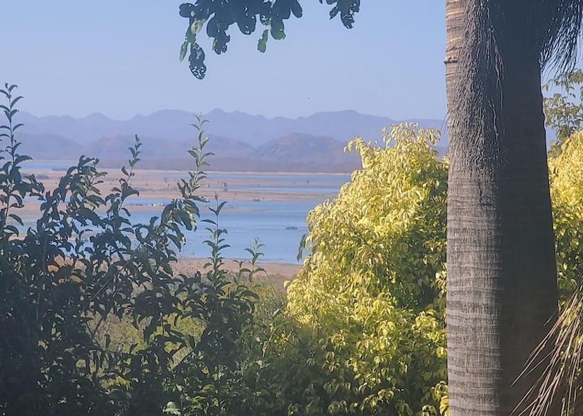 Land view from property