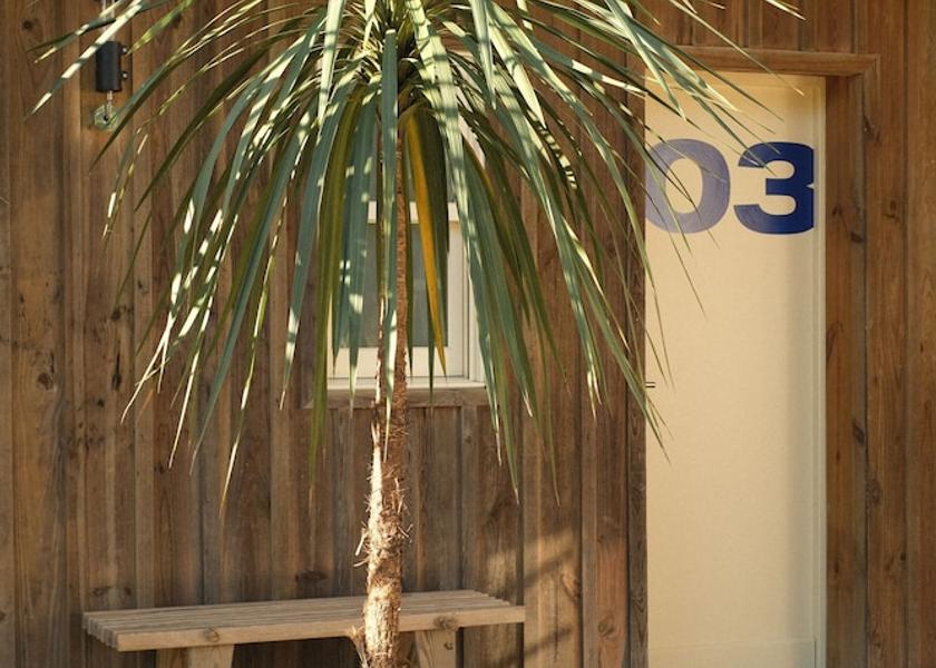 Nouvelle-Aquitaine Lège-Cap-Ferret Terrace/patio