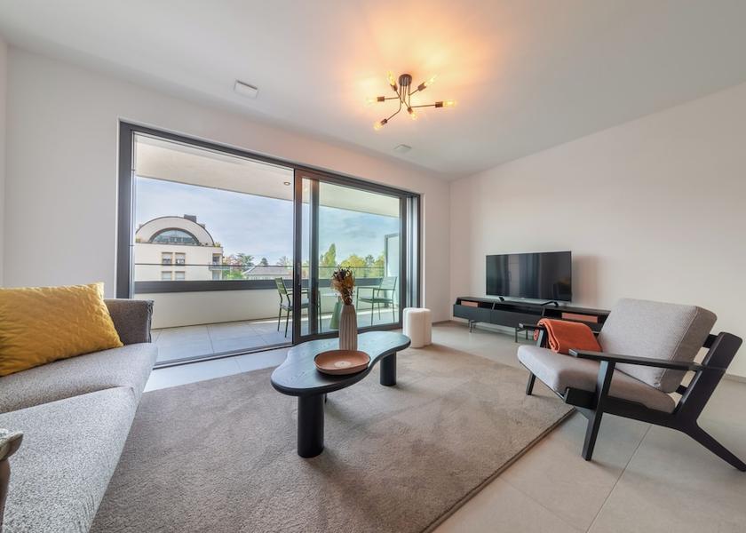 Canton Luxembourg Luxembourg City Living area